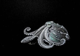 La petite pieuvre des glaces / Drawing A little ice’s octopus