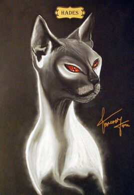 Collections de 12 &oelig;uvres  Chats Dieux   HADES