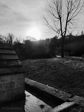 Fontaine lavoir de la Douaye