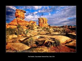 The Needles, Canyonlands National Park
