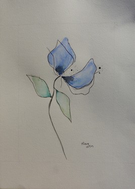 Pavot de l'Himalaya n°1