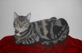 Chat tigré portrait