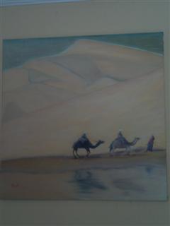 promonade de dromadaire