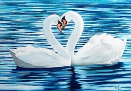 Deux cygnes pour un coeur