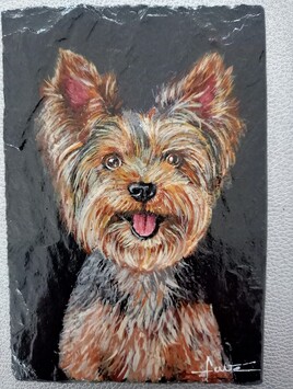 "Chiot Yorkshire"