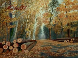 Sous-bois d'automne