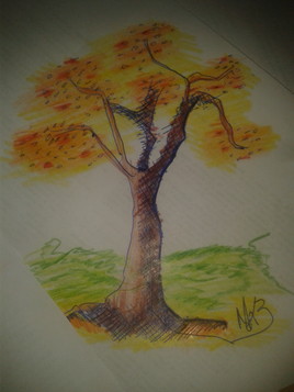 Test fastdriving color