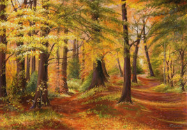 For&ecirc;t d'automne