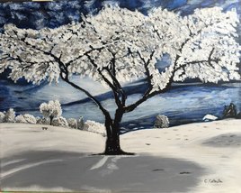 Arbre solitaire sous la neige