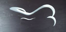 Entre ombre et Lumi&egrave;re