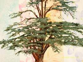 Passent les Si&egrave;cles et les Saisons... tu es l&agrave;