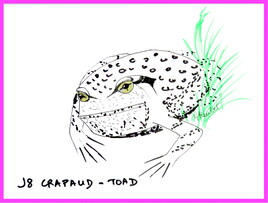 Inktober 2023 J8 Crapaud - Toad