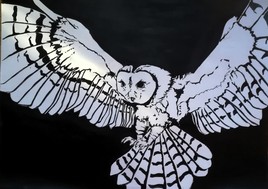 "Chouette" noir et blanc