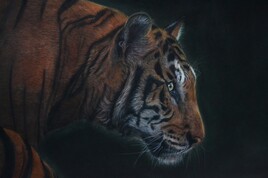 Tigre aux pastels secs