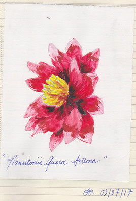 Transitoriis Quaere Aeterna