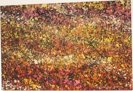 Seashell - Experiment