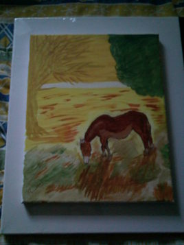 CHEVAL DANS SON CHAMP