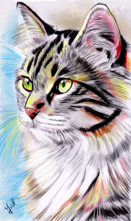 dessin du 22 novembre 2025