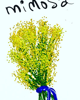 Mimosa