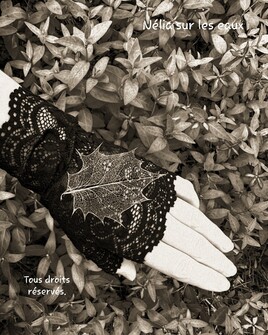 LA MORT FR&Ocirc;LANT LES ONCES DE CHAIR, &Eacute;POUSANT FLEURIE L'AURORE.