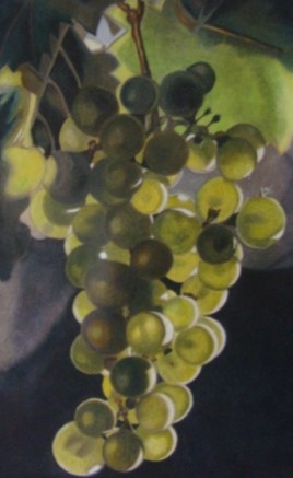 "Vendanges"