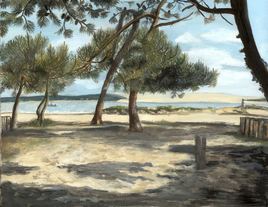 "cap ferret"