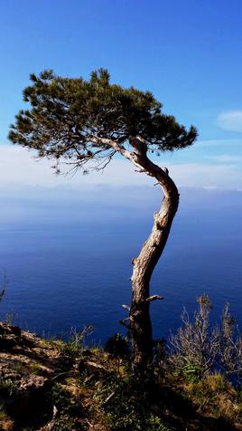 "Alone...but with the best vieuws..."