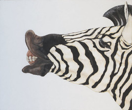 SMILING ZEBRA