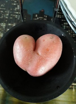 Ma petite patate d'amour (2) du dimanche