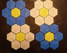 tableau fleurs hexagonales 40 x 50