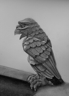 Le perroquet qui se prenait pour un aigle