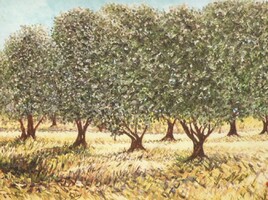 LES OLIVIERS DE PUISSALICON