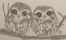 Chouette les bébés!
