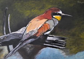 Du haut de son perchoir