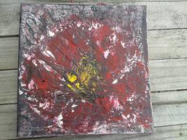 Le coquelicot de nuit