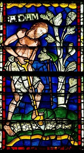Vitrail: "Adam bêchant"