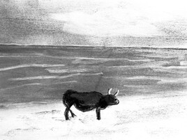 Boeuf noir sur la plage