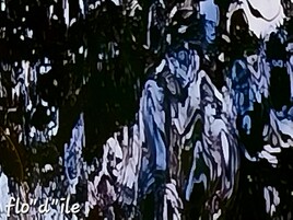 ALLO  WIND ....... par la dame du lac