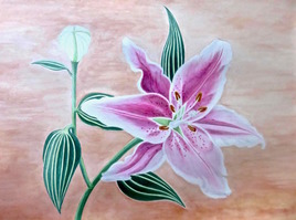 Le lys rose en fleur 2/2 / Watercolor A pink lily 2/2