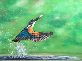 Martin p&ecirc;cheur