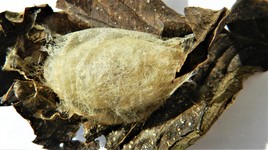 Mon lit pour cet hiver !!!