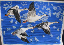 oies des neiges en vol