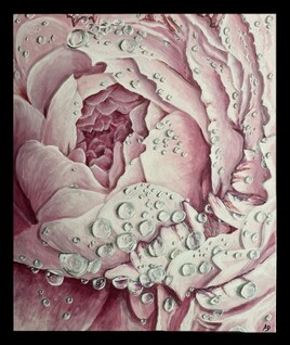 Pluie sur pivoine