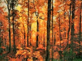 L'automne à Fontainebleau