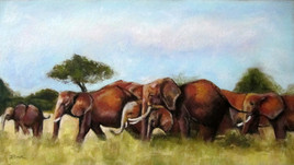 Troupeau d'&eacute;l&eacute;phants