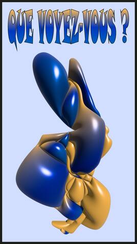 Que voyez-vous?