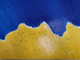 Envol&eacute;e bleue 3