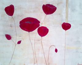 Coquelicots sauvages