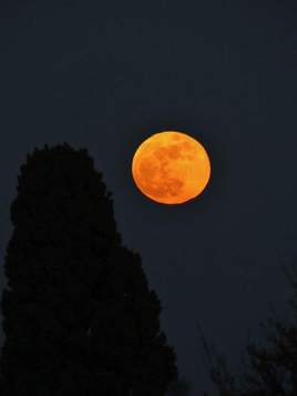 Super lune bleue de sang 2