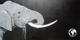 Elephant noir et blanc